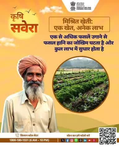 हर सुबह खेती की सही बात!
जुड़े रहिए #KrishiSavera के साथ और शेयर करें अपनी टिप्स।
#Agrigoi #Farmingtips