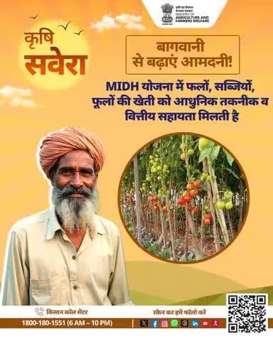 हर सुबह खेती की सही बात!
जुड़े रहिए #KrishiSavera के साथ और शेयर करें अपनी टिप्स।
#Agrigoi #Farmingtips