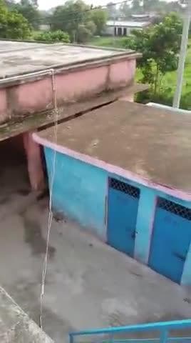 ज्ञानपुर गांव के विद्यालय मे पानी पीने की टंकी मे मरी हुइ थी छिपकली जो की एक बहुत हि बड़ी लापरवाही है
#news24
#aajtak