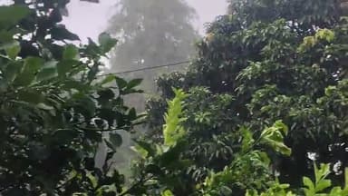 गोपालगंज जिले में हूई झमाझम बारिश , गर्मी से राहत मिली।
#pandeyashish422
#bihar #news #rainy#gopalganj