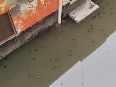 Ya Gali Etah chauraha oil mill ka picha
ha
