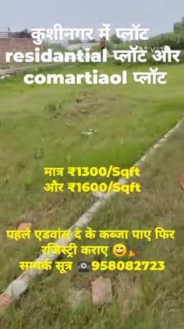 कुशीनगर में प्लॉट लेने का मौका न गवाएं
सम्पर्क सुत्र ☎️9580827237
मात्र ₹13/sqft #plot #kushinagar