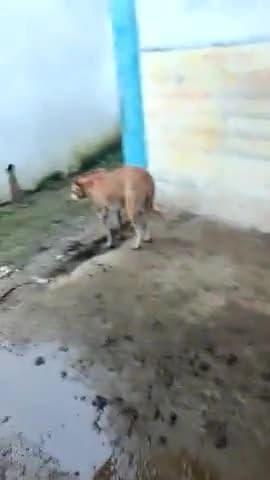 Berad स्कूल का वीडियो स्कूल की  हालत  एसे कैसे होगा बचो का विकास
