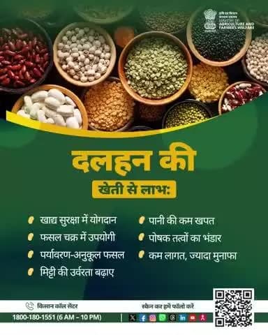 दलहन की खेती: पोषण सुरक्षा, कम लागत, जल बचत और मिट्टी की उर्वरता के साथ किसानों को अधिक लाभ।
#AgriGoI #Pulses
