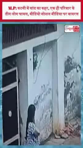 M.P: कटनी में सांड का कहर, एक ही परिवार के तीन लोग घायल, वीडियो सोशल मीडिया पर वायरल
M.P #कटनी #सांड