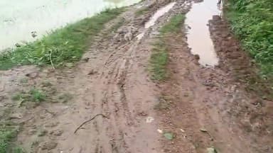 लोकप्रिय विधायक श्रीमती सविता महतो के द्वारा Tilla टोला Amrabera में बहुत तेजी से विकास हो रहा है उनके द्वारा आज का ताजा