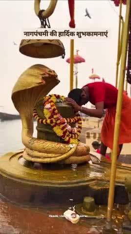नागपंचमी की हार्दिक शुभकामनाएं
#kashivishwanathtemple #kashivishwanathbanaras #banarashinduuniversity #india #kashi