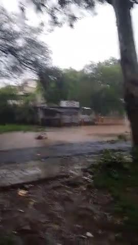 कलेक्ट्रेट परिसर हुई जलमग्न
हनुमान मंदिर कलेक्ट परिसर रायसेन