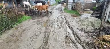 सुखासन पंचायत में काफी बारिश हुआ आज बारिश की कारण से रोड का स्थिति #ग्वालपाड़ा#प्रखंड#मधेपुरा#बिहार#पब्लिक#indan#Sarkar