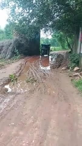 Gram Panchayat barauli ke siras wale raste per Kitna Bura HAL ho raha hai jo ki sarpanch ko Kai bar avgat kara chuke hi