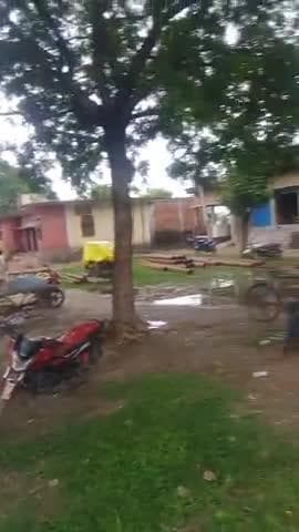 Nagpanchami per jhula jhulte log