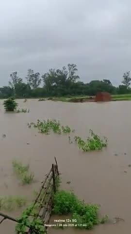 रेशम केंद्र के पास सीधा हुआ नदी का जल स्तर पाटनदेव रायसेन न्यूज
#raisennews #mpnews #mp
raisen