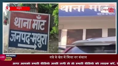 मथुरा: गन्ने के खेत में मिला नर कंकाल, इलाके में फैली सनसनी
#मथुरा #गन्ने #खेत #कंकाल