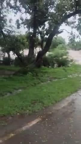 सुहाया भौंरा# नदी #में अति से ज्यादा उपान आया अगले दो तीन दिन तक रास्ता बंद रहेगा