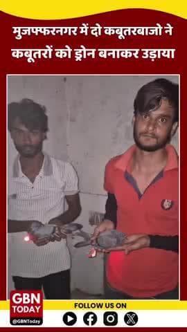 #मुजफ्फरनगर में 2 कबूतरबाजों ने कबूतरों को "ड्रोन" बनाकर उड़ाते थे
रात के अंधेरे में कबूतरों के पंजों में लाल, हरी
