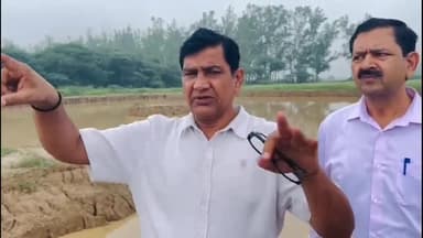 पेहोवा: सरस्वती बोर्ड वन विभाग के साथ सरस्वती संयोसर जंगल में 70 एकड़ में बनाएगा रिज़र्व वायर