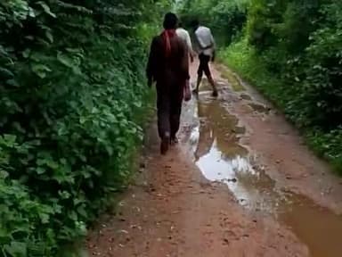 हजारी कुशवाहा 
9039782813