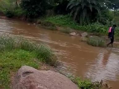 हजारी कुशवाहा 
9039782813