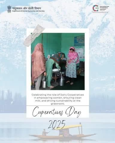 Empowering women, ensuring clean milk & driving sustainability! 
Celebrating the role of Dairy Cooperatives on #CooperativesDay2025! #DairyCooperatives #Sustainability #ᴡᴏᴍᴇɴᴇᴍᴘᴏᴡᴇʀᴍᴇɴᴛ