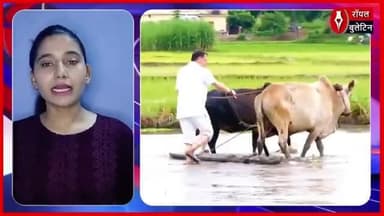 मुख्यमंत्री पुष्कर सिंह धामी ने खेत में की धान रोपाई, किसानों के सम्मान में पेश की मिसाल
#PushkarSinghDhami #uttarakhand #khetibadi