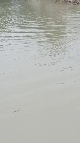 Mera gaw Pani me duh gya rajapakhar kantnagar
