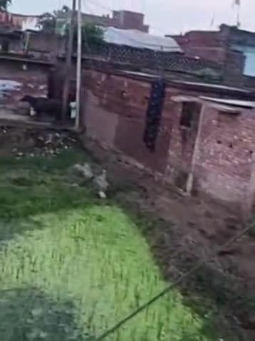 nalnda thrthri prkhnd ka narayn pur beldari bigha gav