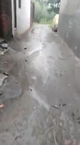 ये गाली ग्राम आर्सल पार्सल मोहल्ला मझरा हसन स्वर रामपुर up