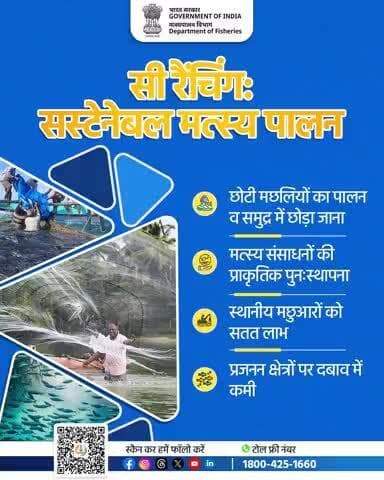 सी रेंचिंग सिर्फ़ एक तकनीक नहीं, बल्कि भविष्य की रूपरेखा!
सी रेंचिंग के ज़रिए हम प्रकृति का संतुलन बनाए रखकर, आने वाली पीढ़ियों के लिए भी मछलियों की उपलब्धता सुनिश्चित कर सकते हैं।
#सीरेंचिंग #मत्स्यपालन