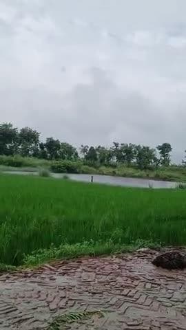betiya me barish ka maushm #terndingreels #varla #instagramreels