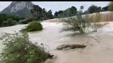 నాంపల్లి: తెల్లవారుజామున కురిసిన భారీ వర్షానికి పొంగిపొర్లుతున్న చామలపల్లి వాగు, హర్షం వ్యక్తం చేస్తున్న గ్రామస్తులు