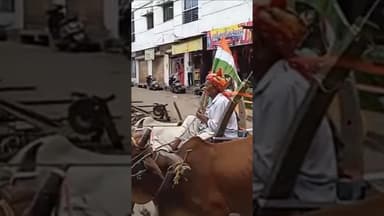 झाबुआ जिले के राणापुर में बैलगाड़ी से निकाली तिरंगा यात्रा। #ranapurlive