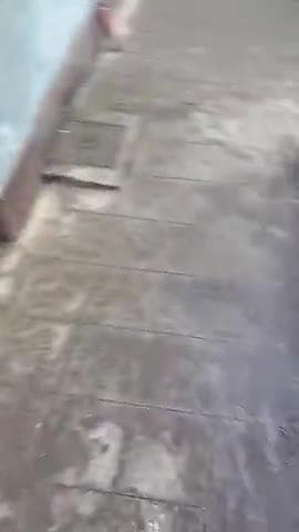 Ward no. 7 JANJGIR me naliyo ka koi dhiyan nahi diya jaa raha hai
Parsad ko 3 4 bar bolne ke badd bhi