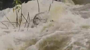 రాయికోడ్: మండలంలో భారీ వర్షాలకి మత్తడి దూకుతున్న బొగ్గులపల్లి ప్రాజెక్ట్