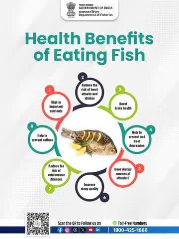 Rich in omega-3s, protein, and essential nutrients — fish isn’t just food, it’s brain and heart fuel. #Nutrition #Fisheries