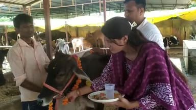 जन्माष्टमी के अवसर पर ग्राम पंचायत हलूहर्राजपुर गोशाला पहुंचकर गौ पूजन किया।
#जन्माष्टमी #गौमाता