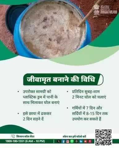 जीवामृत: गोबर-गोमूत्र से बना जैविक घोल, फसल को बनाएं हरी-भरी और मिट्टी को उपजाऊ! #Jeevamrut #NaturalFarming #AgriGoI