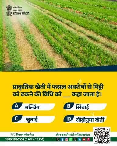 प्राकृतिक खेती में फसल अवशेषों से मिट्टी को ढकने की विधि को _________ कहा जाता है?
#AgriGoI #AgriQuiz #NaturalFarming