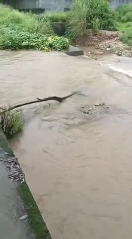 Bhoranj village Bhounkhar hamirpur himachal pradesh