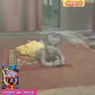 जन्माष्टमी 🪈 मे मग्न हुए भारतवासी,सनातनी लोग #krishna #janmashtami2025 #kaimur #bihar #news #bhabua #kudra #hindustan