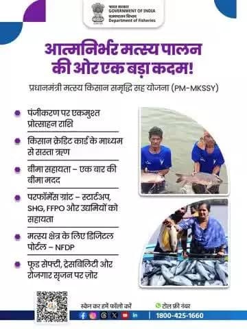मछली पालन क्षेत्र का आधुनिकीकरण, किसानों का सशक्तिकरण! प्रधानमंत्री मत्स्य किसान समृद्धि सह योजना सही मायने में आत्मनिर्भर भारत की दिशा में एक बड़ा कदम है।
#PMMKSSY #FisheriesSector #nfdp #fishgoi