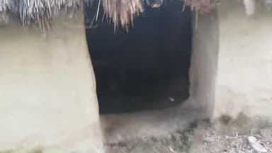 sitapur, बारिश के मौसम में घर छोड़ा तो कुत्तों का घर जारी हुआ निवासी पचैनापुरथाना क्षेत्र हरगांव जनपद सी तापुर
