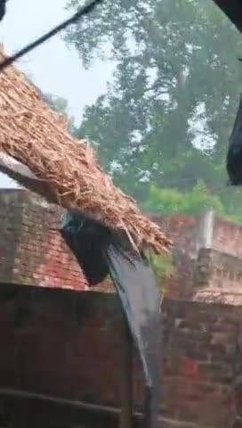 sitapur, तेज हवा चलने से पेड़ इधर उधर डोले बारिश की संभावना बनी तेजी से बारिश होने पर लेट कटी
