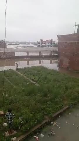 kareli ke haddi godam me logon ke gharo me ghusa badh ka paani#ganga jamuna#badh#kareli#shagunsportsacademy#paani