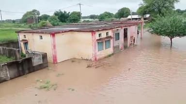 ग्राम मन फूल का पूरा पोस्ट गोपी अंबाह मुरैना कुंवारी नदी जलस्तर बहुत अधिक हो गया है #कलेक्टर#sdm #sp #मुरैना @अंबाह