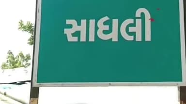 શિનોર: સિનોરના વીરપ્પનોને ખુલ્લુ મેદાન આડેધડ વૃક્ષોનું છેદન છતાં વહીવટી તંત્રના આંખ આડા કાન