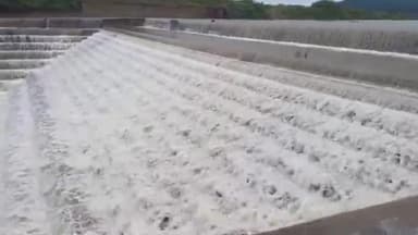 ಅಳ್ನಾವರ: ಸತತ ಮಳೆ: ತುಂಬಿ ಹರಿಯುತ್ತಿರುವ ಅಳ್ನಾವರ ತಾಲೂಕಿನ ಹುಲಿಕೇರೆಯ ಇಂದಿರಮ್ಮನ ಕೆರೆ