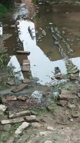 kusaila moti kheda sarkari khanje per paani ka jamaw gao ka pardhan bhi kuch nhi krta h pardhan kahta h apne aap bna lo