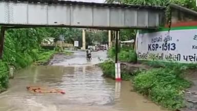 શિનોર: સિનોર રેલવે ગરનાળા નીચે પાણી ભરાતા વાહન ચાલકો પરેશાન, મેઘરાજાની ધમાકેદાર બીજી ઇનિંગ શરૂ