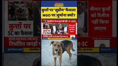 कुत्तों पर 'सुप्रीम' फैसला, लेकिन NGO पर जुर्माना क्यों? #straydogs #supremecourtofindia #shorts