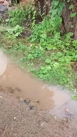 बरसात का पानी भरा घरों में और हो रही दिक्कत ग्रामीणों को